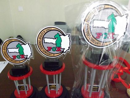 Federação Catarinense de Xadrez - FCX - Troféus para 3 primeiros