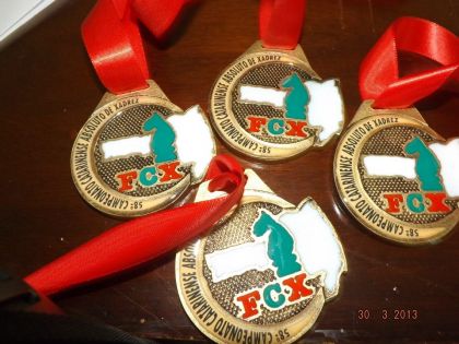 Federação Catarinense de Xadrez - FCX - Medalhas
